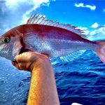Cap Salou Fishing pesca esportiva a la Costa Daurada