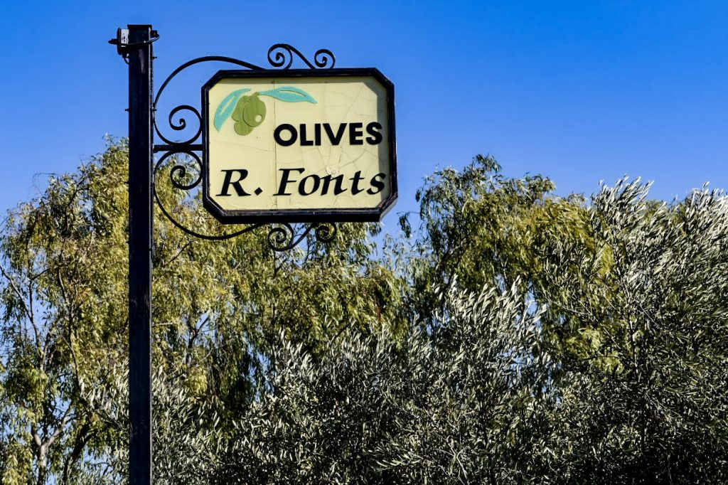 Olivos del Molí Fonts en Reus.