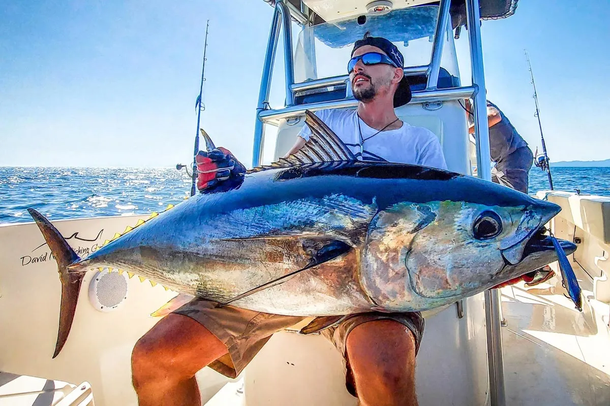Activitats de pesca al delta de l'Ebre