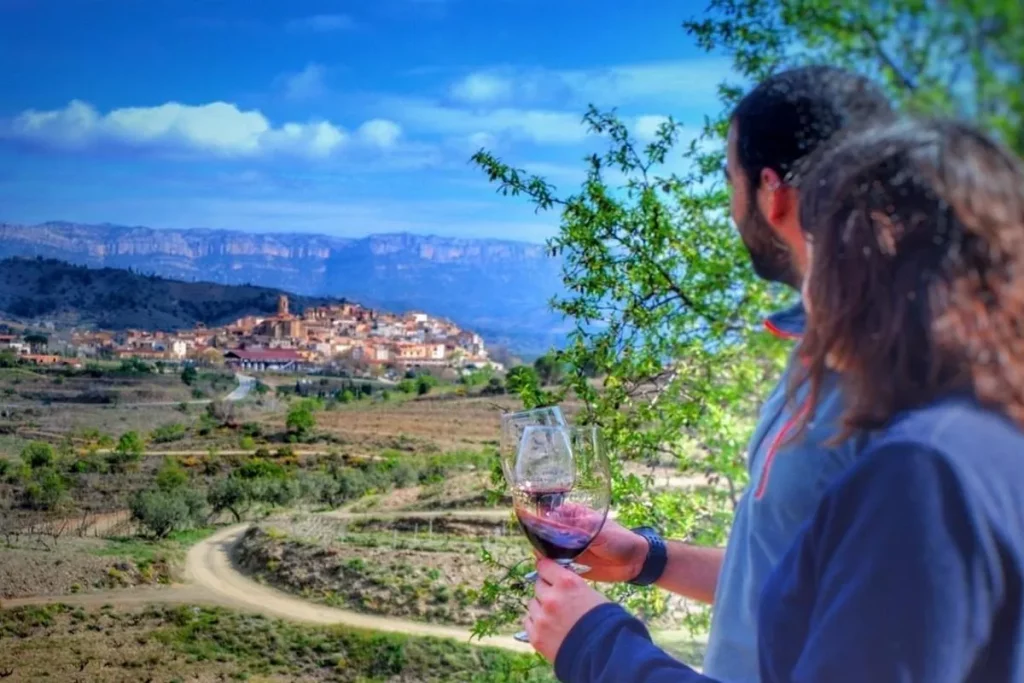 Wine experiences on the la Costa Daurada and southern Catalonia.