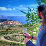 Rutes i tast de vins de la Catalunya Sud | El Brogit