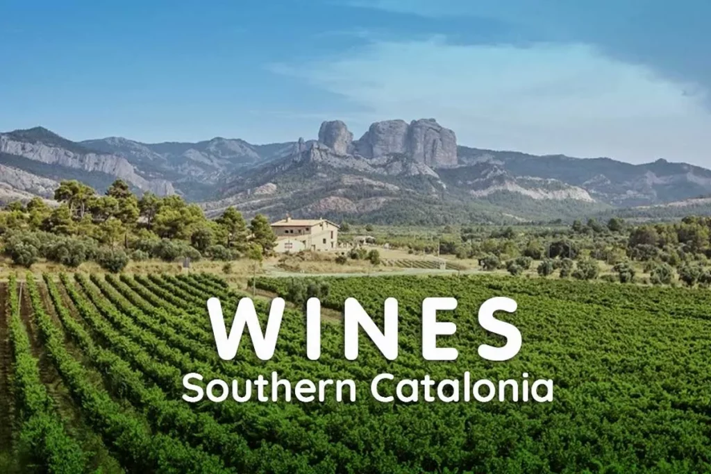 Catalonia wines and Costa Daurada cellars.