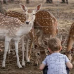 Fauna y actividades para niños en el parque de Cambrils