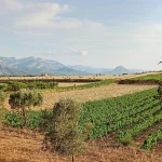 Paisatge de la Terra Alta i tast de vins.