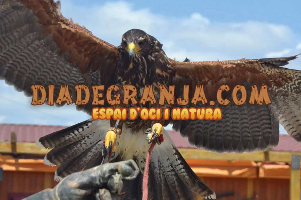 Logo de Dia de Granja amb un dels animals