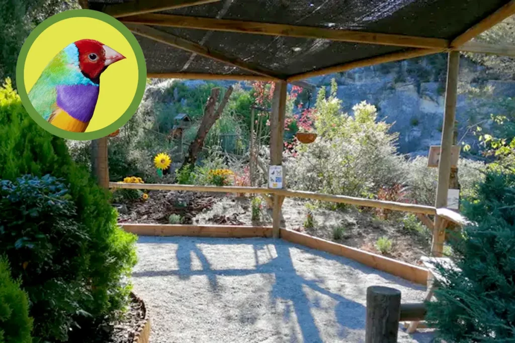 El Jardí del Ocells