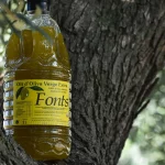 Botella de aceite de un olivo del Baix Camp.