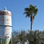Depósito decorado con el nombre de Dia de Granja y una palmera al fondo en la entrada del recinto