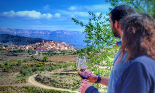 Rutes i tast de vins de la Catalunya Sud | El Brogit