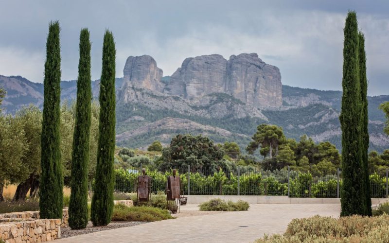 Bodega Les Vinyes del Convent en Horta de Sant Joan con las montañas de Els Ports al fondo